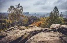Birke im Herbstlaub auf den Sandsteinfelsen, dahinter die Tafelberge