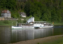 Raddampfer auf der Elbe vor grünen Uferhängen
