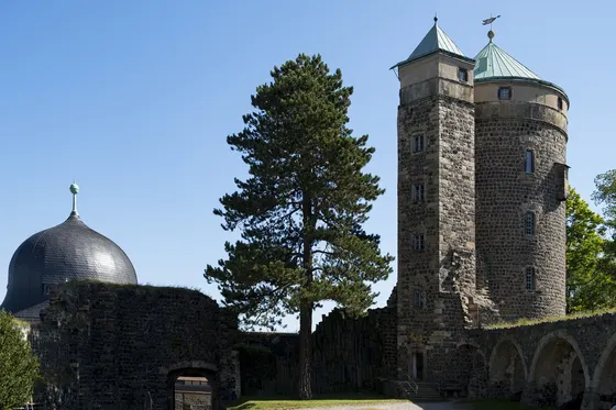 Die Türme der Burg Stolpen hinter einer großen Kiefer