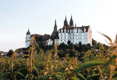 Albrechtsburg und Dom über Meißen im Abendlicht