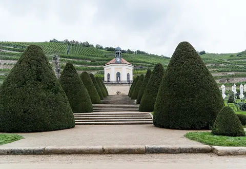 Belvedere von Schloss Wackerbarth über Treppe, Buchsformschnitt und Weinberg
